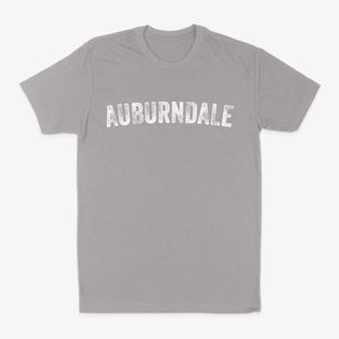 Auburndale Florida Timeless Retro Classic Dad T-Shirt