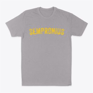 Sempronius New York Timeless Retro Classic Dad T-Shirt