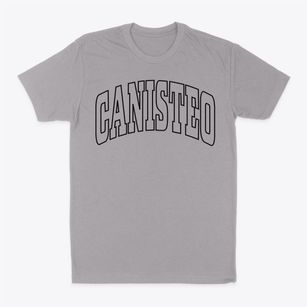 Canisteo New York Trendy Block Classic Dad T-Shirt