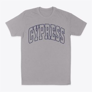 Cypress Illinois Trendy Block Classic Dad T-Shirt