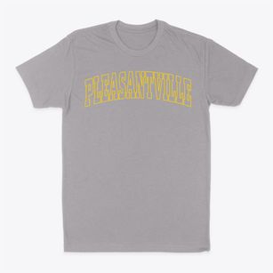Pleasantville New York Trendy Block Classic Dad T-Shirt