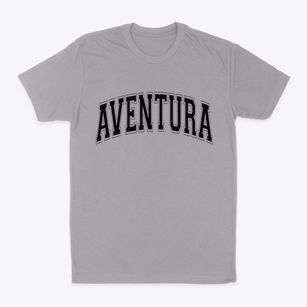 Aventura Florida Varsity Classic Dad T-Shirt