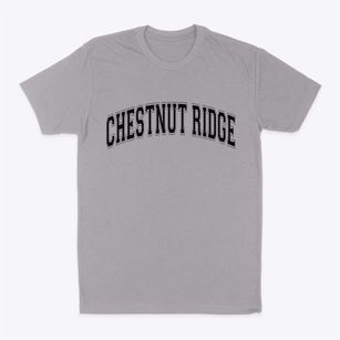 Chestnut Ridge New York Varsity Classic Dad T-Shirt