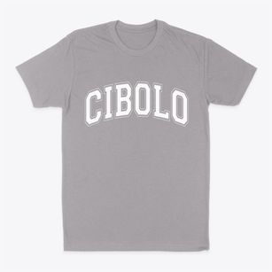 Cibolo Texas Varsity Classic Dad T-Shirt