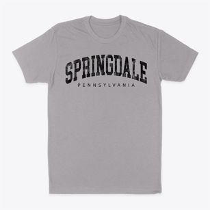 Springdale Pennsylvania Urban Vibe Classic Dad T-Shirt
