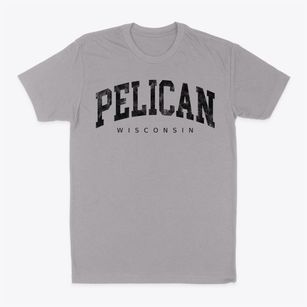 Pelican Wisconsin Urban Vibe Classic Dad T-Shirt