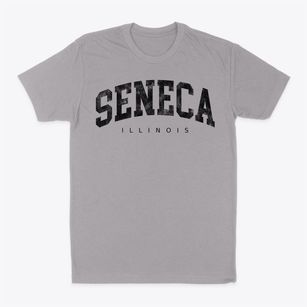 Seneca Illinois Urban Vibe Classic Dad T-Shirt