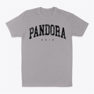 Pandora Ohio Urban Vibe Classic Dad T-Shirt