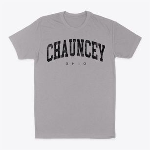 Chauncey Ohio Urban Vibe Classic Dad T-Shirt