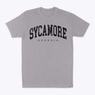 Sycamore Georgia Urban Vibe Classic Dad T-Shirt