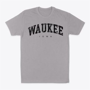 Waukee Iowa Urban Vibe Classic Dad T-Shirt