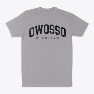 Owosso Michigan Urban Vibe Classic Dad T-Shirt