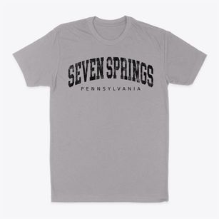 Seven Springs Pennsylvania Urban Vibe Classic Dad T-Shirt