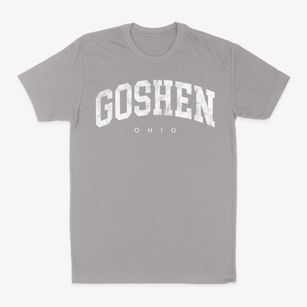Goshen Ohio Urban Vibe Classic Dad T-Shirt
