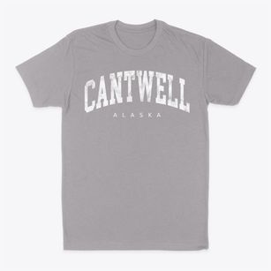 Cantwell Alaska Urban Vibe Classic Dad T-Shirt