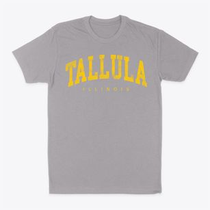 Tallula Illinois Urban Vibe Classic Dad T-Shirt