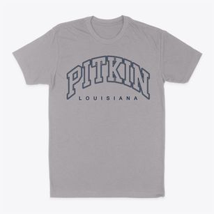 Pitkin Louisiana Inline Classic Dad T-Shirt