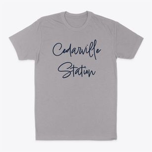 Cedarville Station New York Freestyle Classic Dad T-Shirt