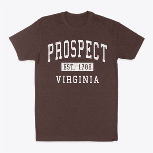 Prospect Virginia Classic Established Classic Dad T-Shirt