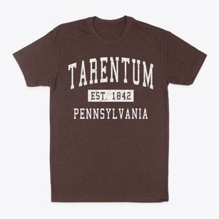 Tarentum Pennsylvania Classic Established Classic Dad T-Shirt