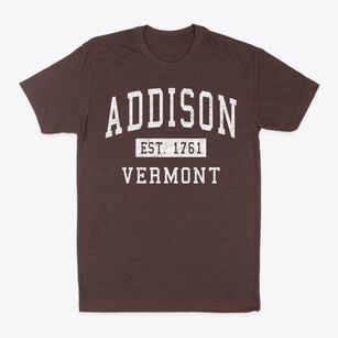 Addison Vermont Classic Established Classic Dad T-Shirt