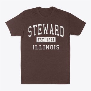 Steward Illinois Classic Established Classic Dad T-Shirt