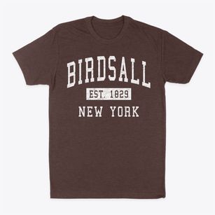 Birdsall New York Classic Established Classic Dad T-Shirt