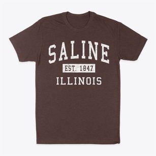 Saline Illinois Classic Established Classic Dad T-Shirt