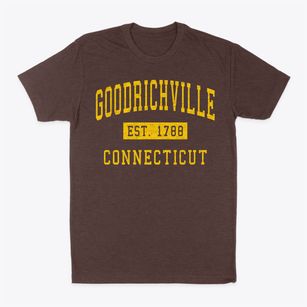 Goodrichville Connecticut Classic Established Classic Dad T-Shirt