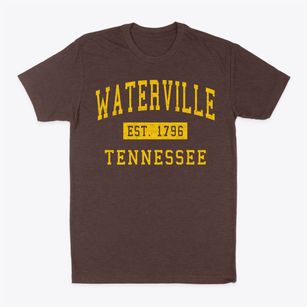 Waterville Tennessee Classic Established Classic Dad T-Shirt