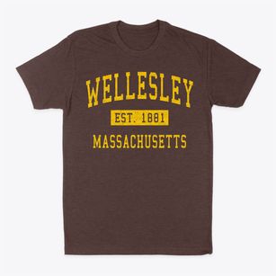 Wellesley Massachusetts Classic Established Classic Dad T-Shirt