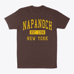 Napanoch New York Classic Established Classic Dad T-Shirt