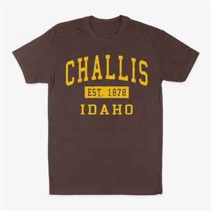Challis Idaho Classic Established Classic Dad T-Shirt