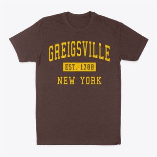 Greigsville New York Classic Established Classic Dad T-Shirt