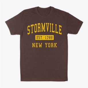 Stormville New York Classic Established Classic Dad T-Shirt