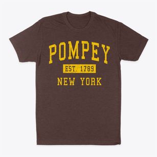 Pompey New York Classic Established Classic Dad T-Shirt