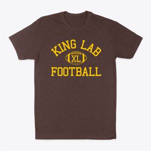 Martin Luther King Jr. Laboratory School Classic Football Classic Dad T-Shirt
