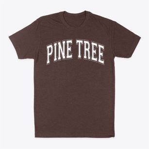 Pine Tree Intermediate School Varsity Arch Classic Dad T-Shirt