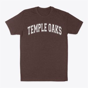 Temple Oaks Baptist School Varsity Arch Classic Dad T-Shirt