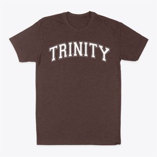 Trinity Lutheran School Varsity Arch Classic Dad T-Shirt