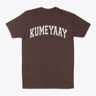 Kumeyaay Elementary School Varsity Arch Classic Dad T-Shirt