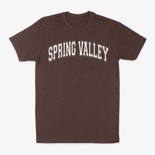Spring Valley Elementary School Varsity Arch Classic Dad T-Shirt