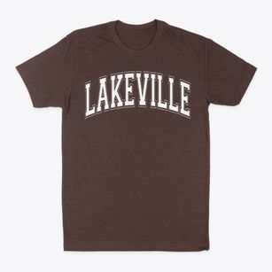 Lakeville Elementary School Varsity Arch Classic Dad T-Shirt