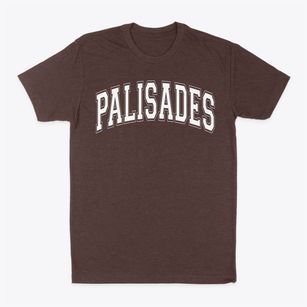 Palisades Elementary School Varsity Arch Classic Dad T-Shirt