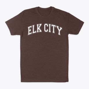 Elk City School Varsity Arch Classic Dad T-Shirt