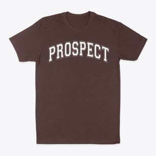 Prospect Elementary School Varsity Arch Classic Dad T-Shirt