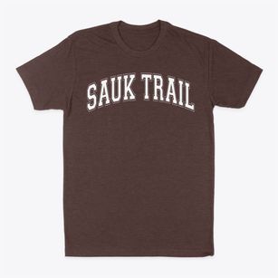 Sauk Trail Academy Varsity Arch Classic Dad T-Shirt