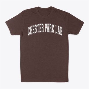 Chester Park Lab Elementary School Varsity Arch Classic Dad T-Shirt