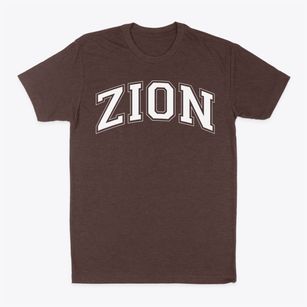 Zion Lutheran School Varsity Arch Classic Dad T-Shirt