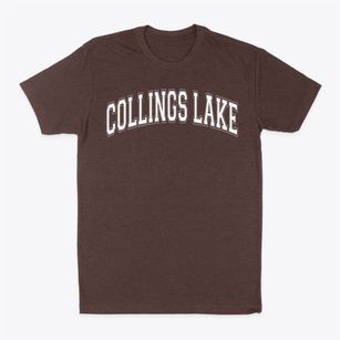 Collings Lake Elementary School Varsity Arch Classic Dad T-Shirt